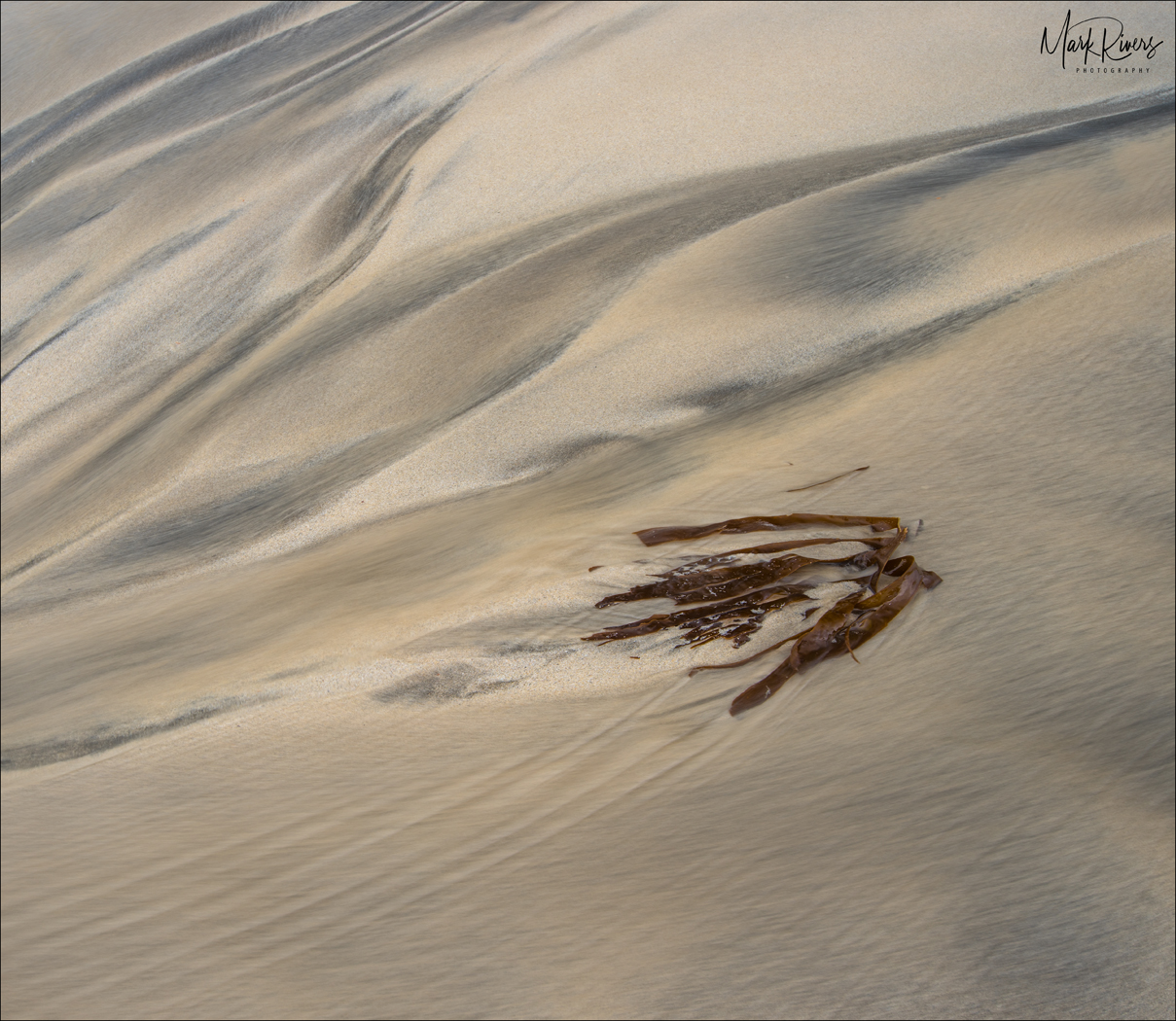 Washed Up - Mark Rivers